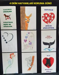 Evrensel Kolej